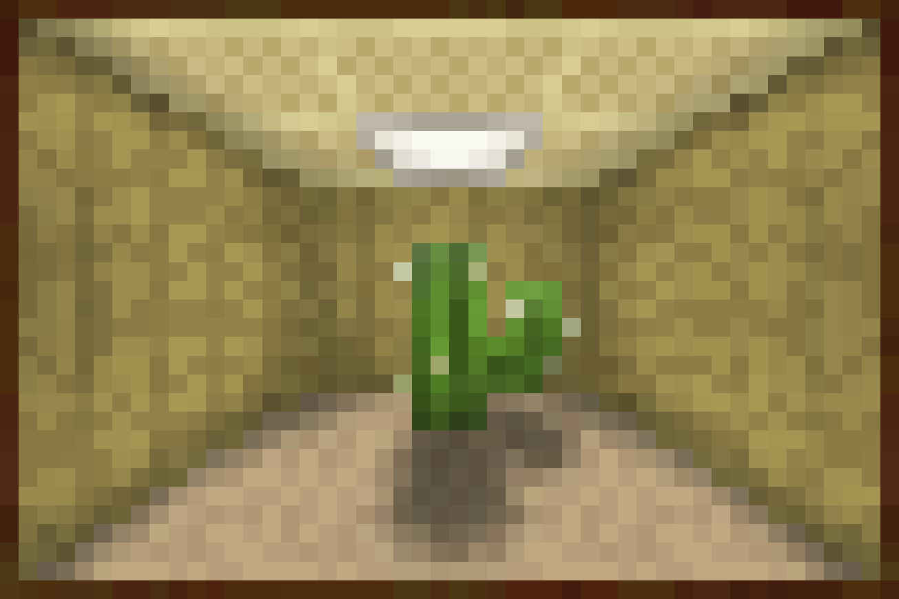 No Biomes Here