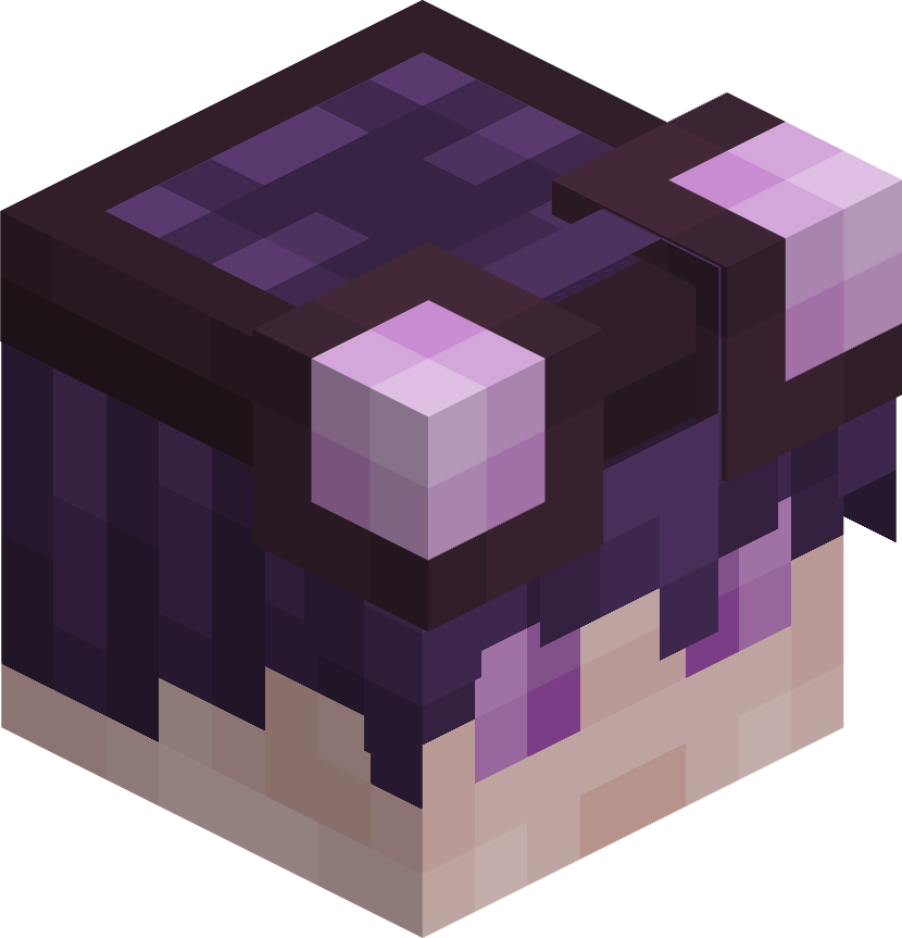 CW's Head