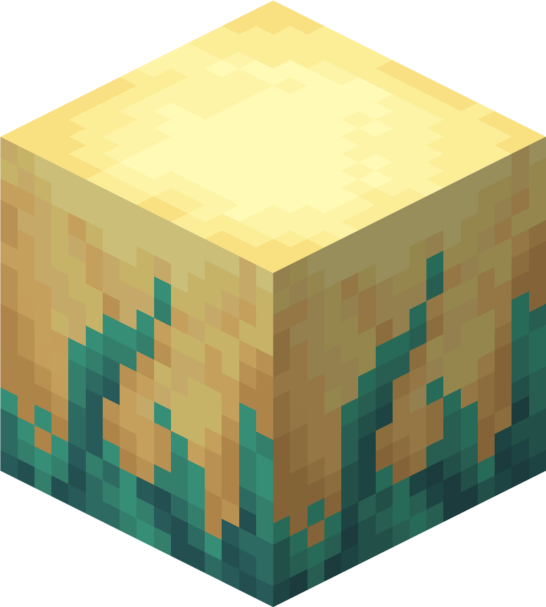 Spider Egg