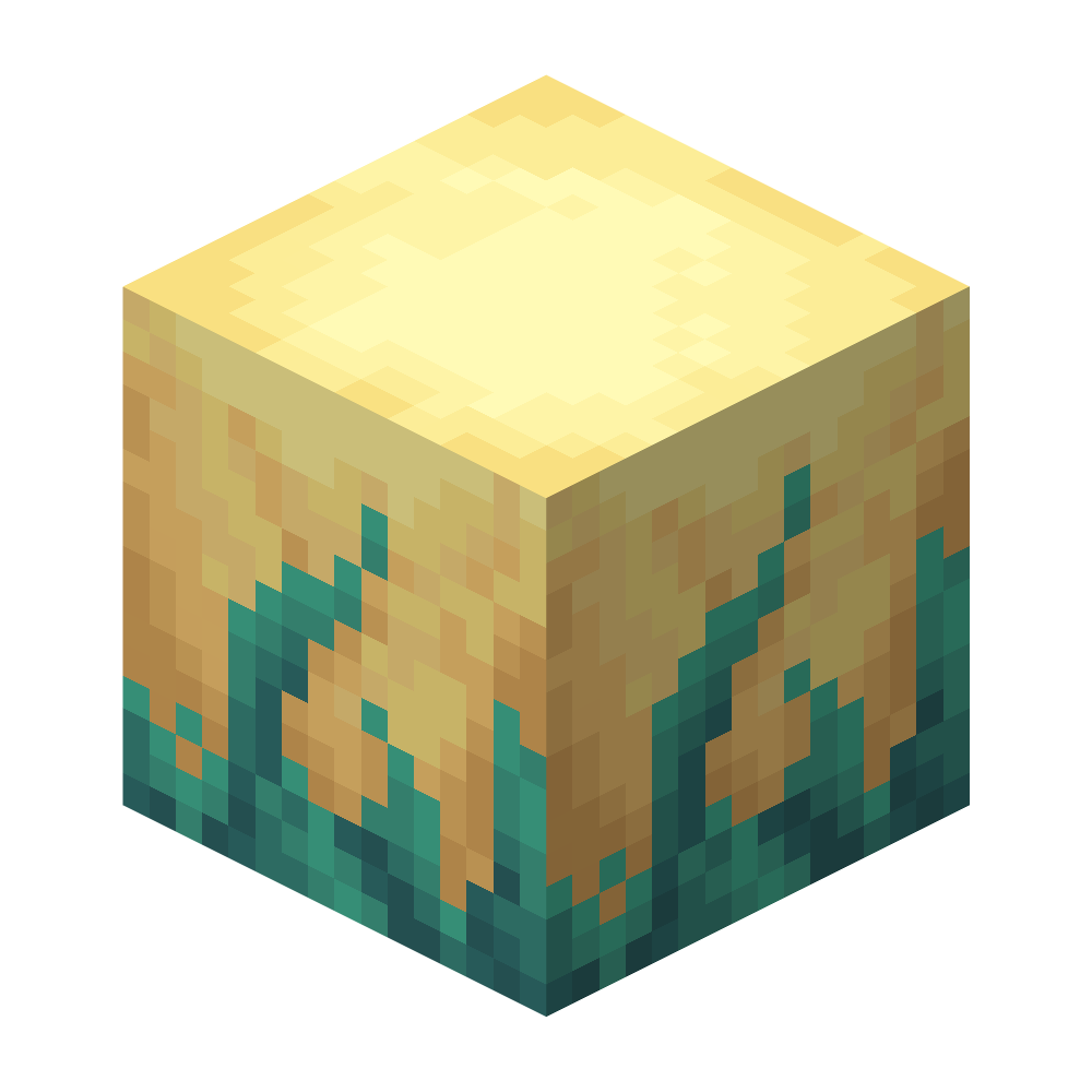 Spider Egg